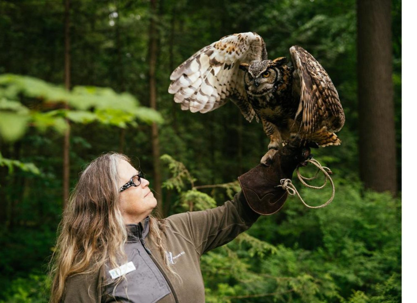 Vancouver: Capilano Suspension Bridge Park billet