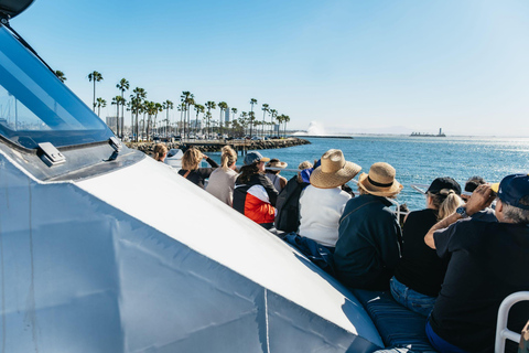San Pedro: West Harbor LA Dolphin & Whale Watching Cruise
