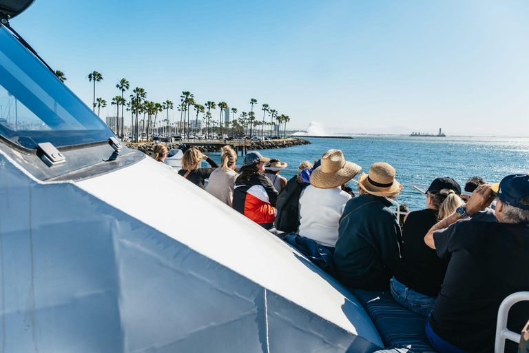 San Pedro: West Harbor LA Dolphin & Whale Watching Cruise
