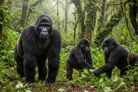 Kampala: 4-Day Western Uganda Safari with Meals