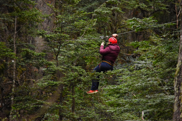 Canopy Half-Day Tour in Bariloche Canopy Half-Day Tour in Bariloche - Morning Departure