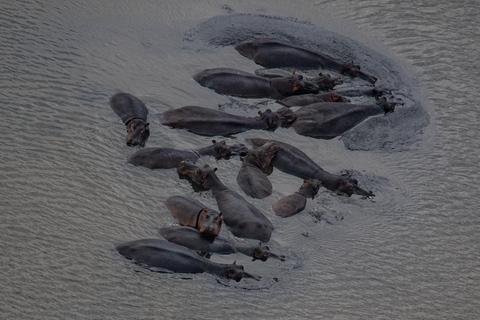 From Maputo: 2-Day Safari & Ocean Hideaway at Maputo Reserve