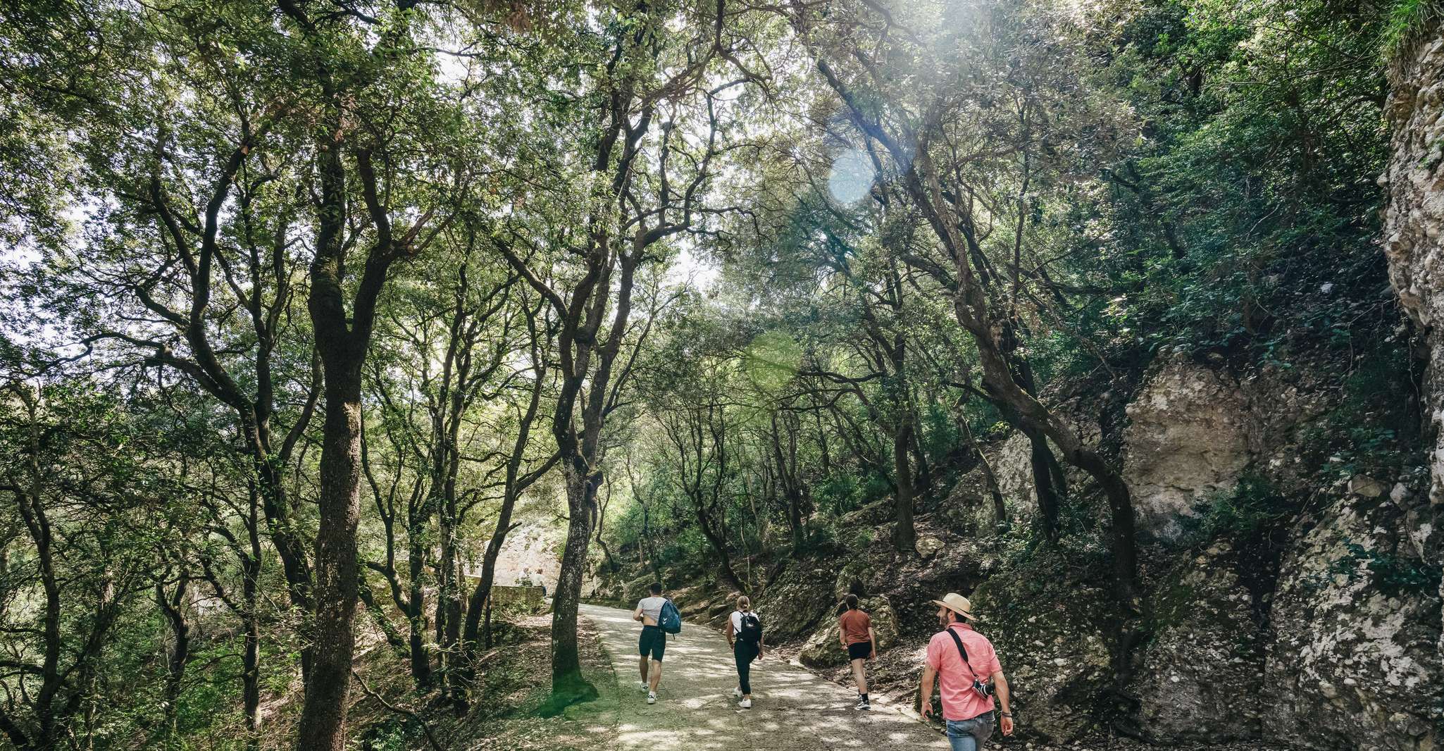 Barcelona: Montserrat, Cogwheel, Black Madonna & Winery Tour photo 17