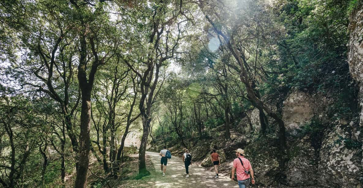 Afbeelding 16 van Barcelona: Montserrat, tandwielbaan, Zwarte Madonna en wijnmakerij