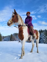 Horse Riding Day Trip in the Rila Mountain - Housity