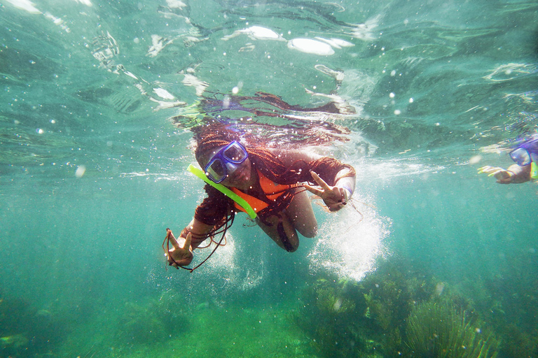 Cancún: Super Combo con quad, tirolinas, cenote y snorkelATV compartido