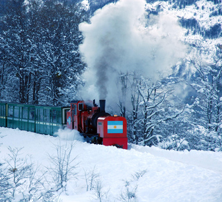 Ferrocarril Austral Fueguino Eisenbahn in Ushuaia