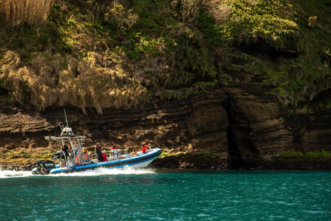 Vila Franca do Campo: Snorkeling & Boat Tour at the Islet