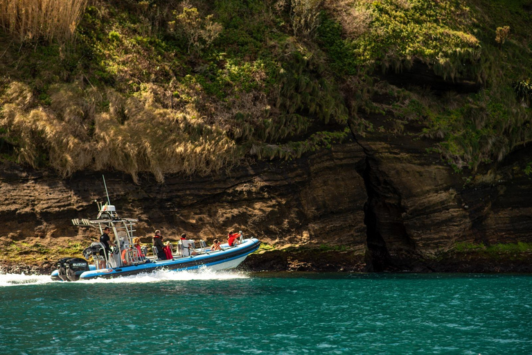 Vila Franca do Campo: Snorkeling & Boat Tour at the Islet