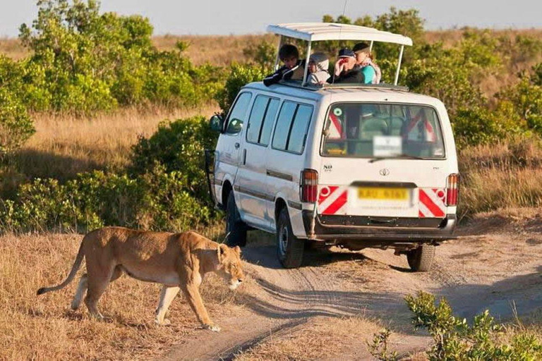 Półdniowa wycieczka do Parku Narodowego Nairobi