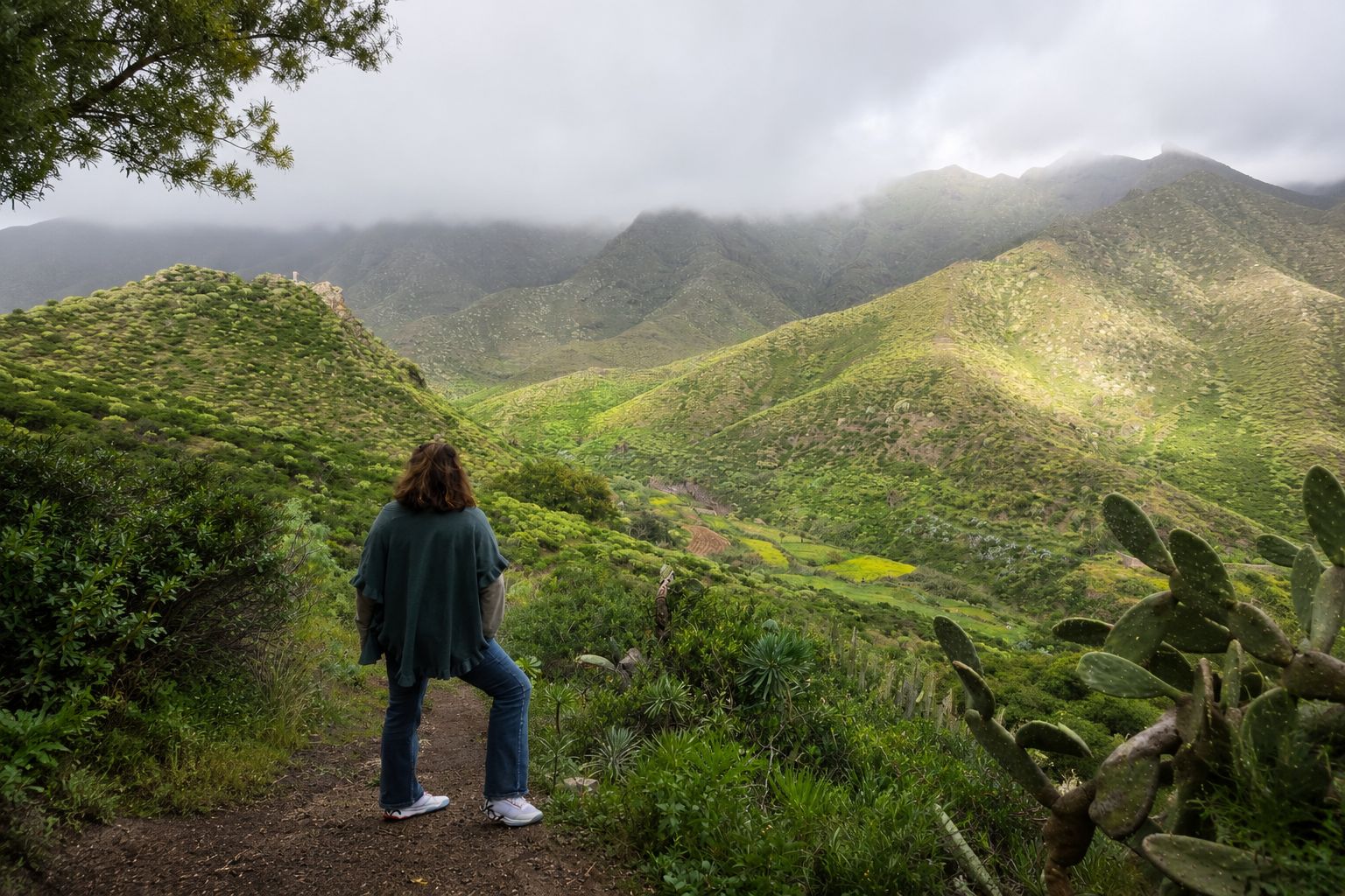 Teneriffa: Tour zum Anaga-Wald, zum Dorf und zum Strand mit Abholung