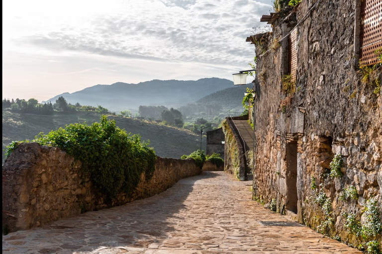 Descubre Bocairent: Viaje al Esplendor MedievalDesde Valencia: Excursión a Bocairent