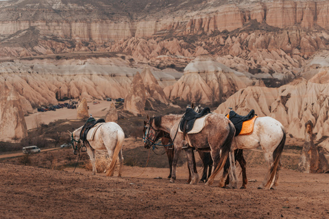 Cave Creek: Guided Sunset Horseback Ride Through the Desert 1.5-Hours Guided Sunset Horseback Ride Through the Desert