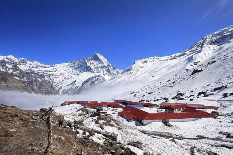 Pokhara: 9-Day Annapurna Base Camp Trek with Hot Springs