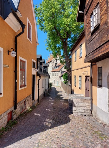 Visby: Guided tour of the UNESCO-listed medieval town (90 minutes)
