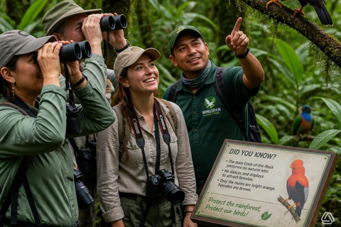 From Manaus: Presidente Figueiredo Birdwatching Tour