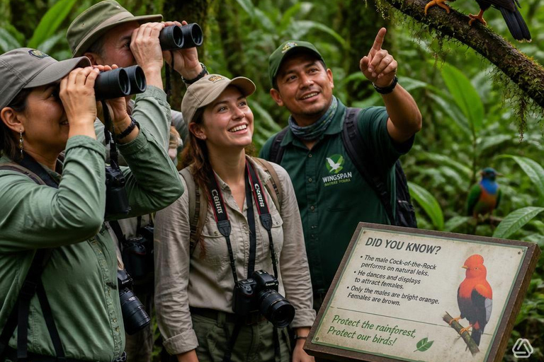 From Manaus: Presidente Figueiredo Birdwatching Tour