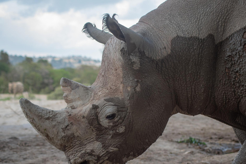 Africam Safari Conservation Park