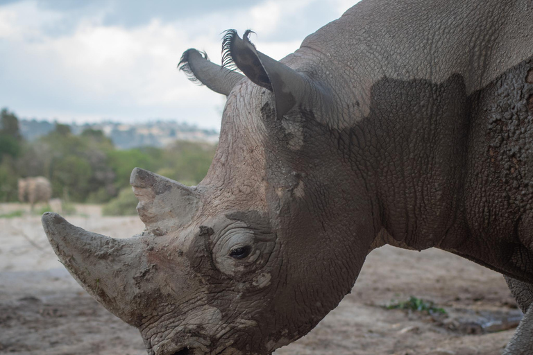 Africam Safari Conservation Park