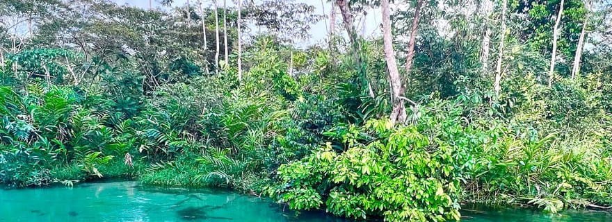 Brazzaville : Circuit d'évasion et de découverte de la faune dans la réserve de la Lefini