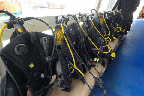 Alanya: PADI Discover Dive & Certified Training Options First Time Diving Option