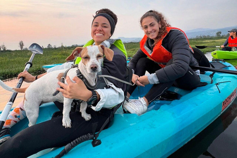 Xochimilco: gita in kayak e osservazione delle salamandre