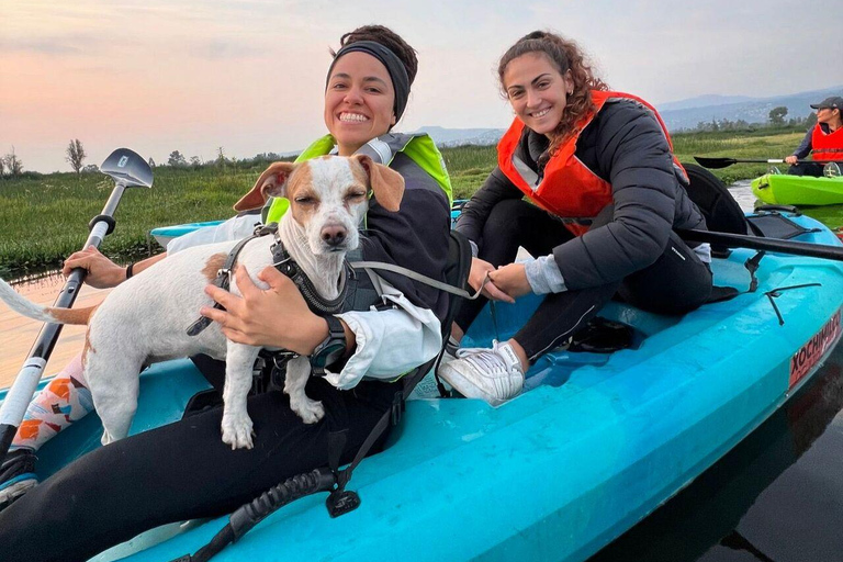 Xochimilco: gita in kayak e osservazione delle salamandre