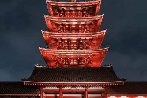 Tokyo Full Day Customizable Private Tour with English Guide