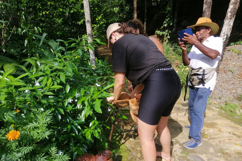 Kandy: Knuckles Mountain Range Full-Day Hike with Lunch