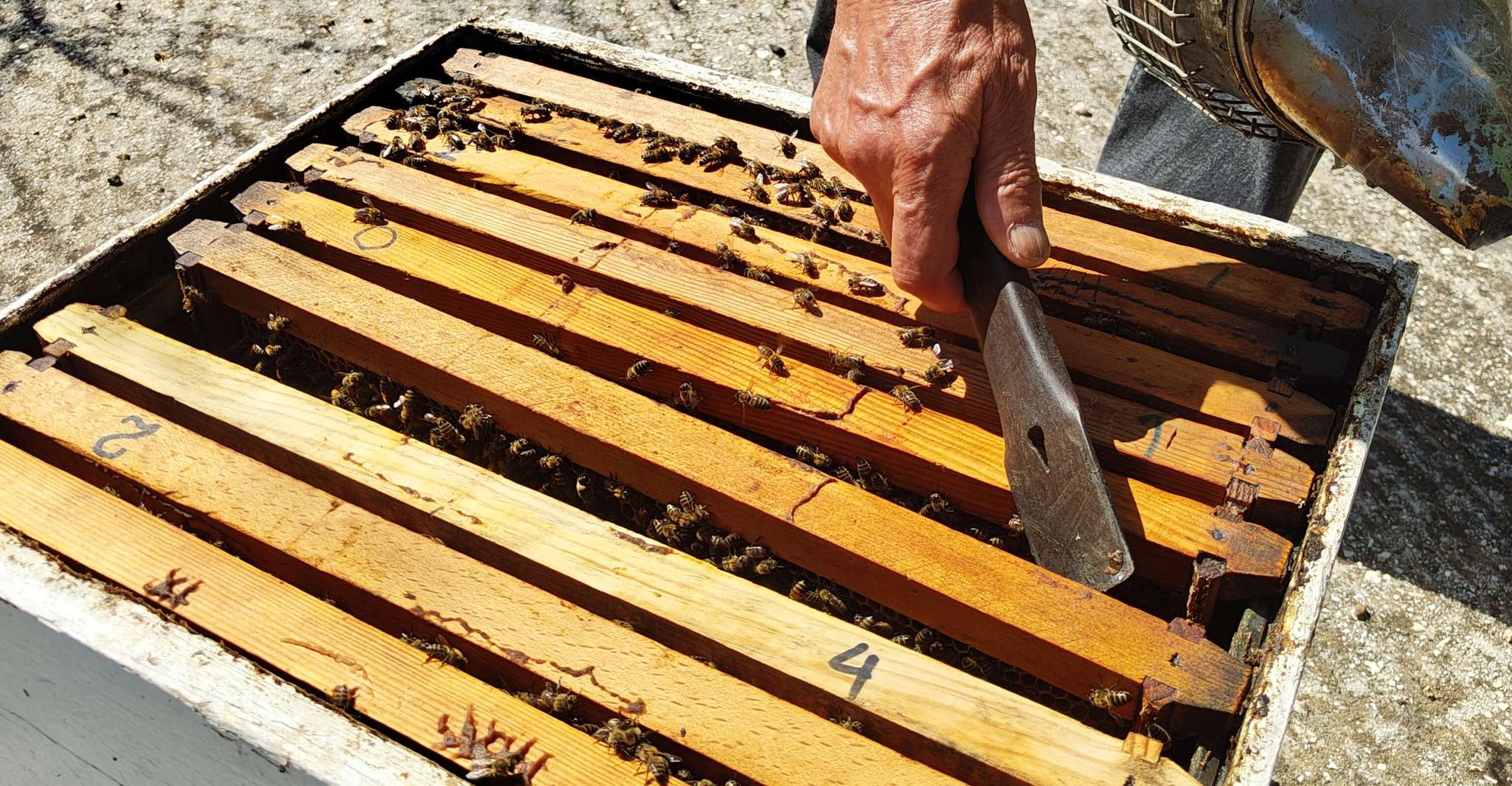 Kefalonia Honey Tour on E-Bikes - Housity