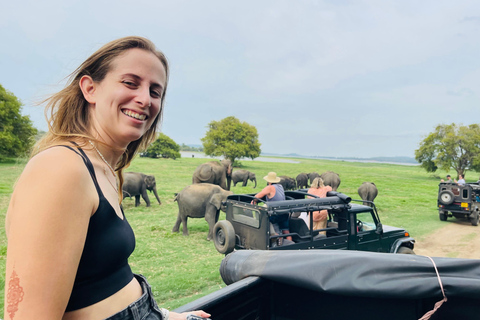 Wild Elephant Safari Tour Minneriya, Kaudulla & Hurulu ECO Start from Dambulla