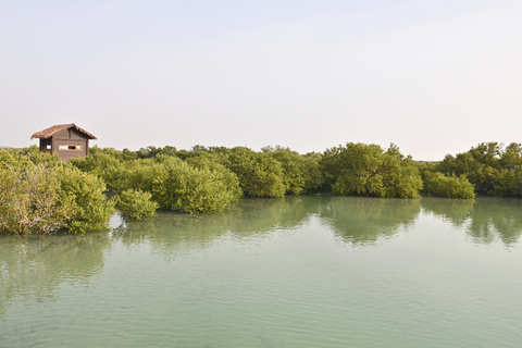 Doha : North of Qatar & Heritage Tour UNESCO Sites Mangroves