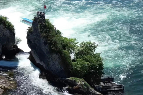 Zurich: Rhine Falls Private Transfer and Entry Ticket