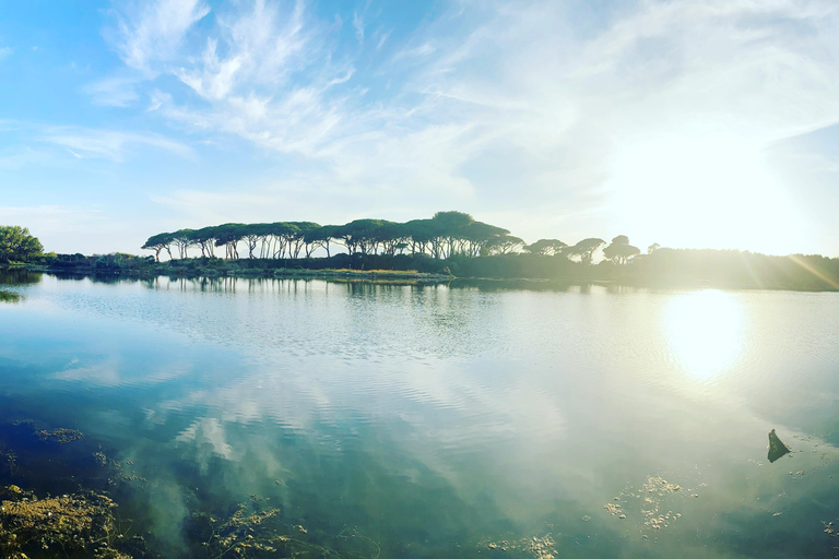 Yacht Me Up Cruzeiro Privado com Tudo Incluído Cannes Lérins SailUm dia na baía de Cannes com tudo incluído