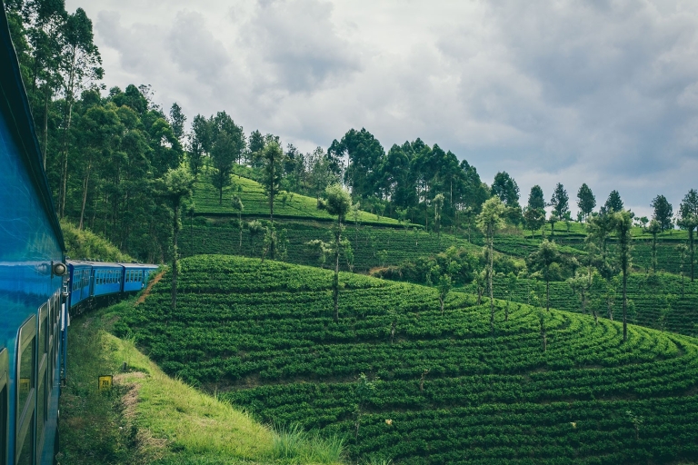 First Class Ella From/To Kandy scenic Train Ticket