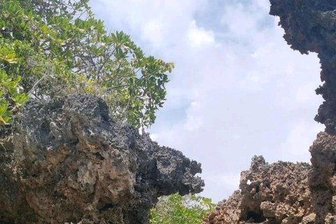 Zanzibar: Safari Blue with Snorkeling and lunch