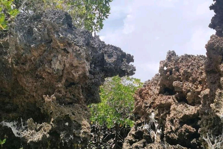 Zanzibar: Safari Blue with Snorkeling and lunch