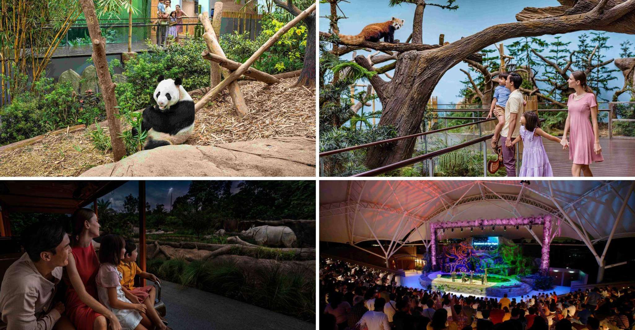 River Wonders (Free & Easy) with Night Safari Guided Tour