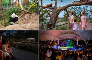 River Wonders (kostenlos und einfach) mit geführter Nachtsafari