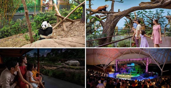 River Wonders (Free & Easy) with Night Safari Guided Tour