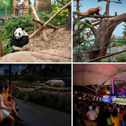 River Wonders (Free & Easy) with Night Safari Guided Tour