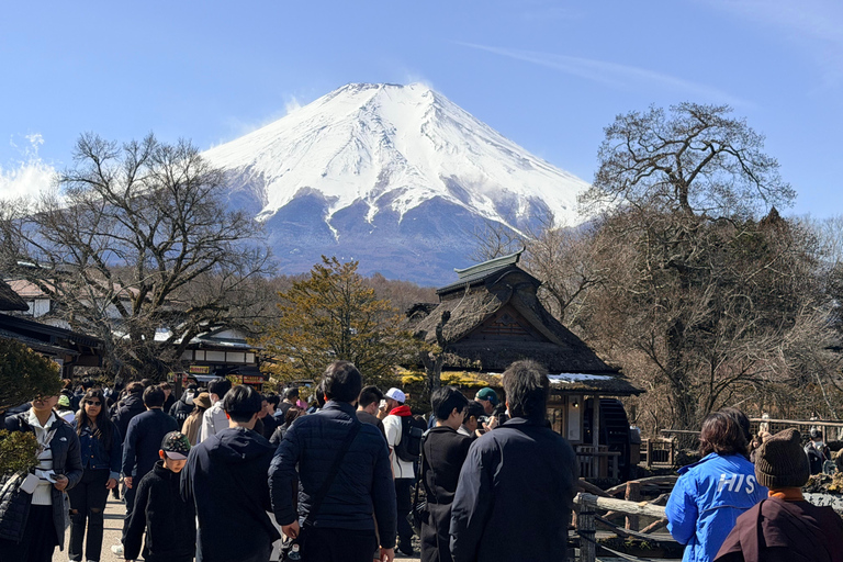 Tokyo: Private Daytrip to Mount Fuji - Fully Customizable Mt Fuji Private Luxury Van Tour (Customizable Experience)
