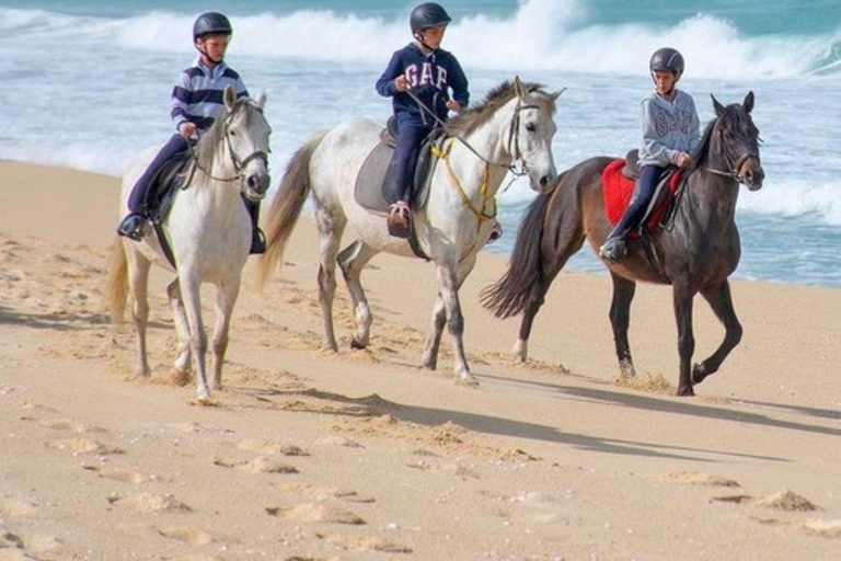 Melides: Ridning på Melides Beach