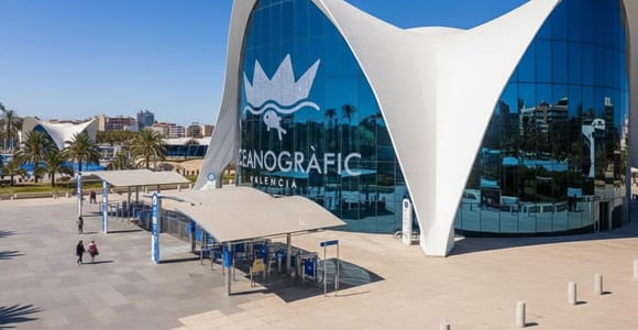 Skip-the-line Oceanogràfic València Private Guided Tour