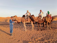 De Merzouga, camel durante la noche, Trek sobre muy chebbi dunes - Housity