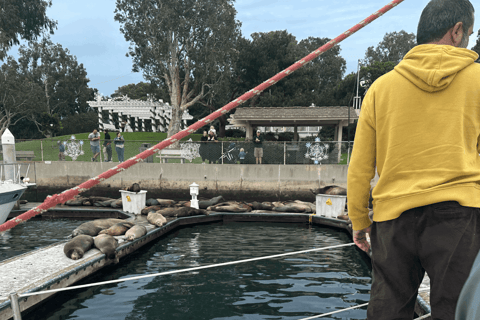 马里纳德尔雷：1小时游船之旅玛丽娜德尔雷：1小时游船之旅