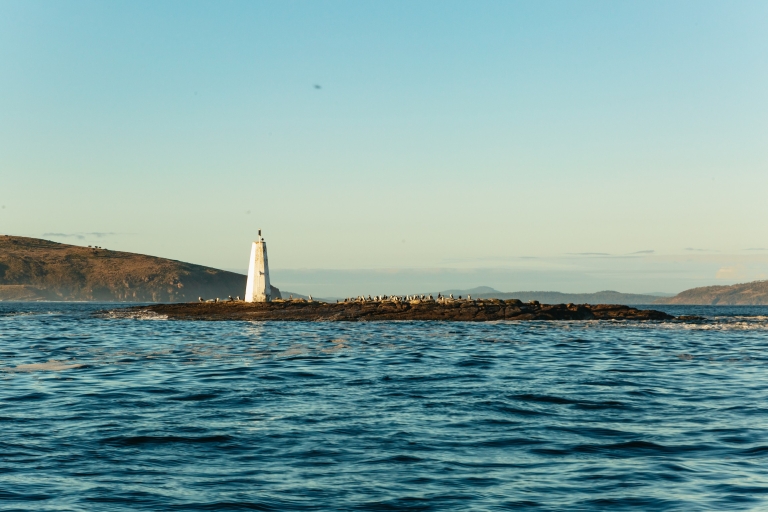 Hobart: 2,5 uur Iron Lighthouse Cruise
