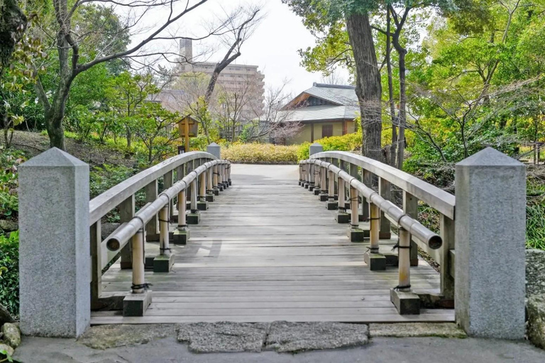 Tokyo: City One Day Private Customizable Top Places Tour