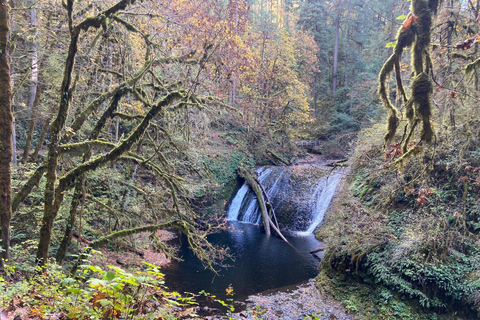 Portland: Wasserfallwanderung im Silver Falls State ParkPortland: Wanderung zu den Wasserfällen im Silver Falls State Park