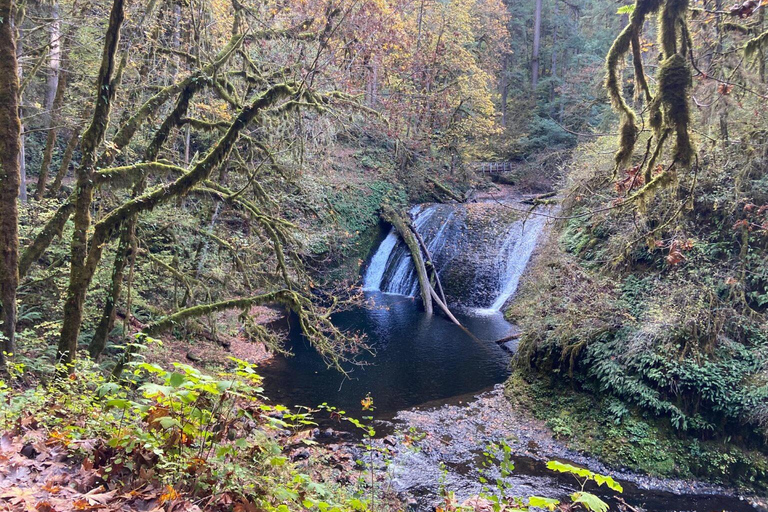 Portland: Wasserfallwanderung im Silver Falls State ParkPortland: Wanderung zu den Wasserfällen im Silver Falls State Park